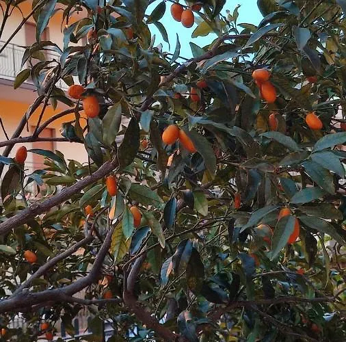 R Family Lejlighed Acireale